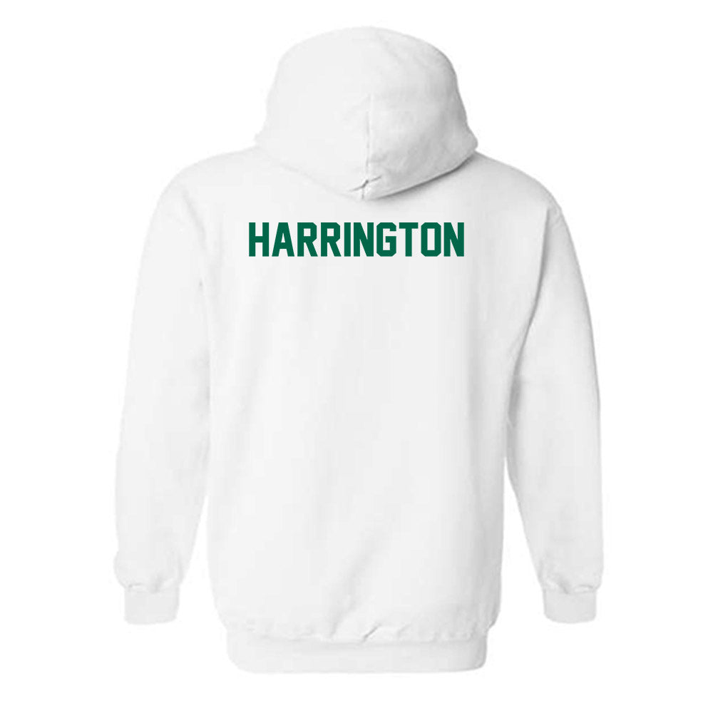 Siena - NCAA Women's Cross Country : Avery Harrington - Classic Shersey Hooded Sweatshirt-1