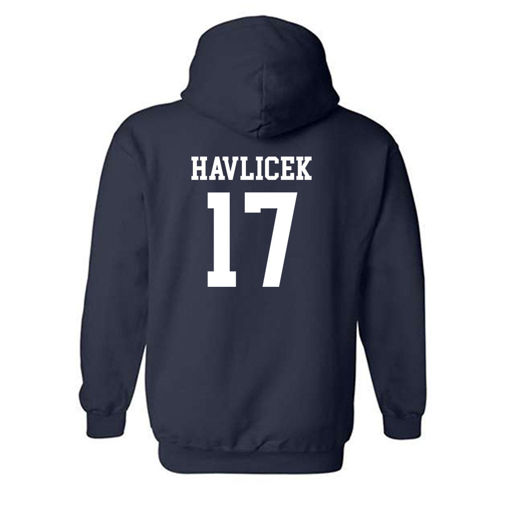 Auburn - NCAA Women's Volleyball : Grace Havlicek - Classic Shersey Hooded Sweatshirt-1