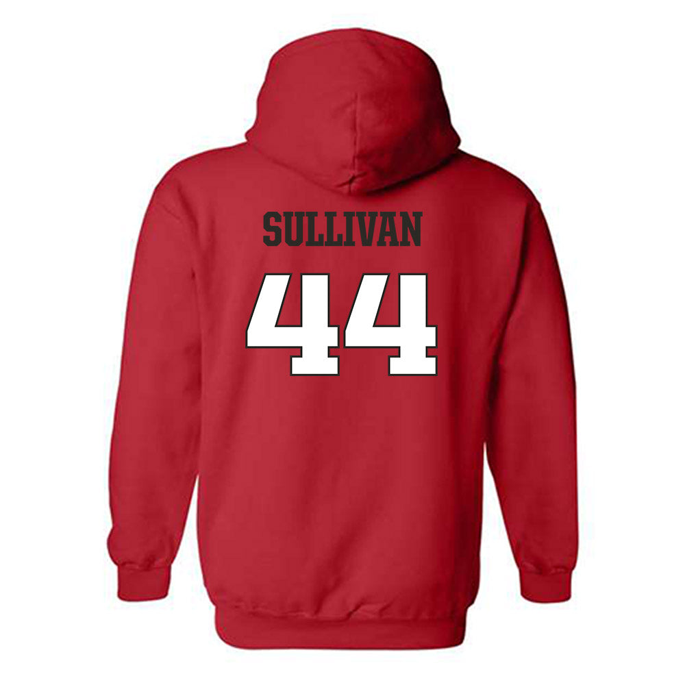 Fairfield - NCAA Women's Lacrosse : Sarah Sullivan - Classic Shersey Hooded Sweatshirt