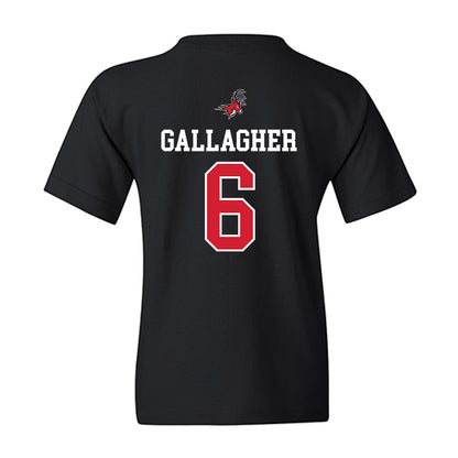 Fairfield - NCAA Men's Lacrosse : Brendan Gallagher - Classic Fashion Shersey Youth T-Shirt-1