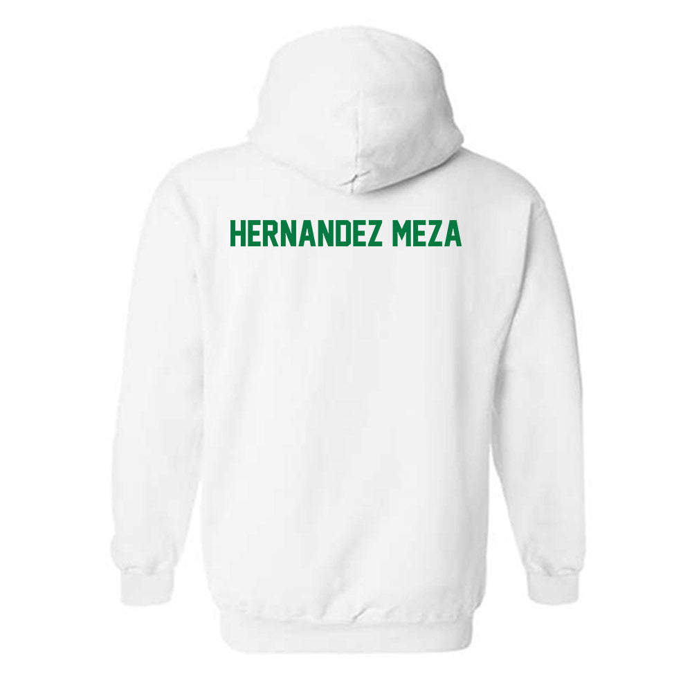 North Texas - NCAA Women's Swimming & Diving : Valeria Hernandez Meza - Classic Shersey Hooded Sweatshirt