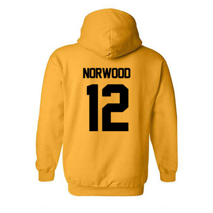 Missouri - NCAA Football : Dreyden Norwood - Classic Shersey Hooded Sweatshirt-1