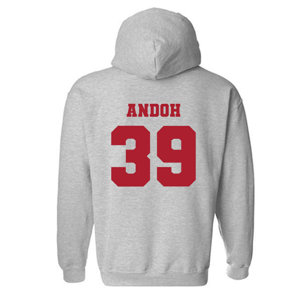 Nicholls State - NCAA Football : Kayden Andoh - Classic Fashion Shersey Hooded Sweatshirt-1