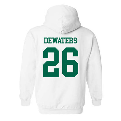 USF - NCAA Softball : Alice DeWaters - Classic Fashion Shersey Hooded Sweatshirt