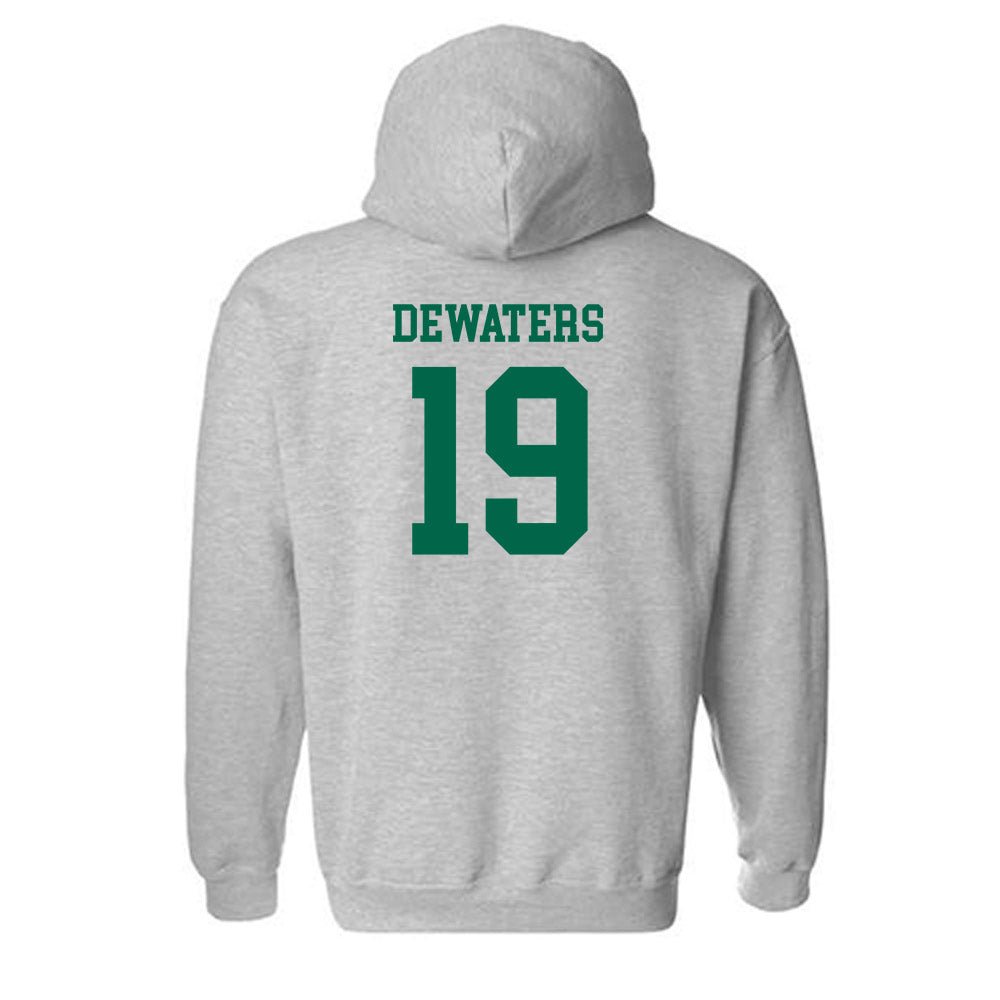 USF - NCAA Softball : Abbie DeWaters - Classic Fashion Shersey Hooded Sweatshirt-1
