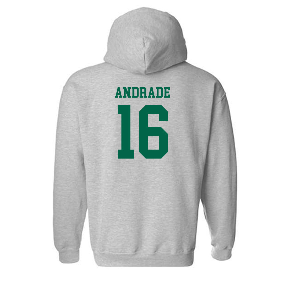 USF - NCAA Women's Volleyball : Maria Clara Andrade - Classic Fashion Shersey Hooded Sweatshirt