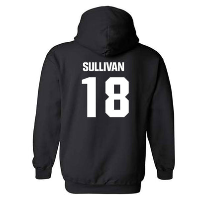 USC Upstate - NCAA Baseball : Noah Sullivan - Hooded Sweatshirt