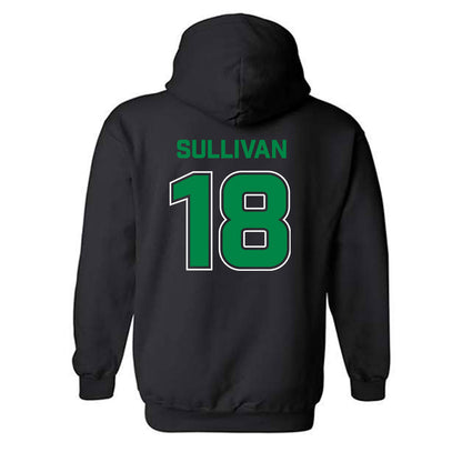 USC Upstate - NCAA Baseball : Noah Sullivan - Classic Fashion Shersey Hooded Sweatshirt-1