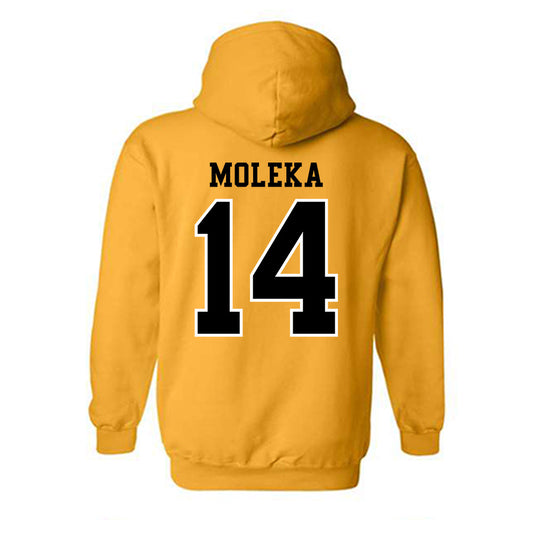 Kennesaw - NCAA Women's Soccer : Naomi Moleka - Classic Fashion Shersey Hooded Sweatshirt-1
