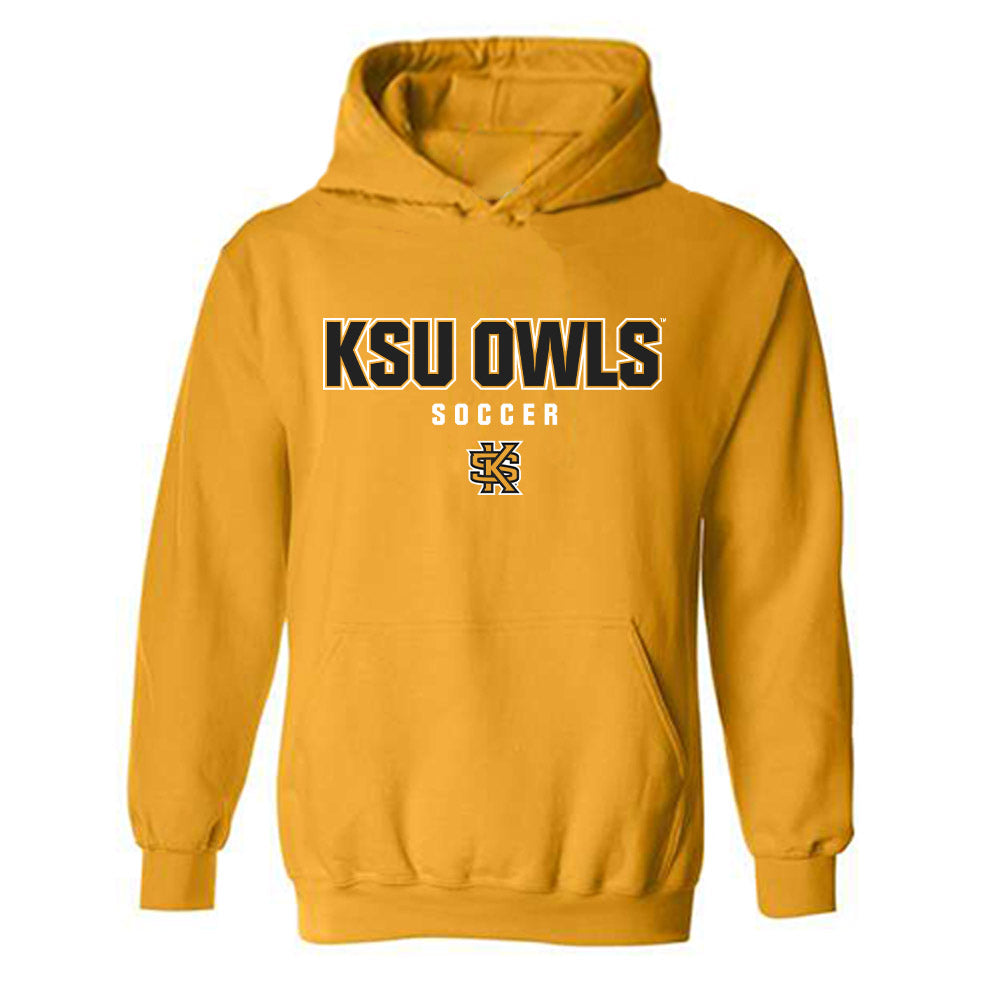 Kennesaw - NCAA Women's Soccer : Angelina Noorbehesht - Classic Fashion Shersey Hooded Sweatshirt-0