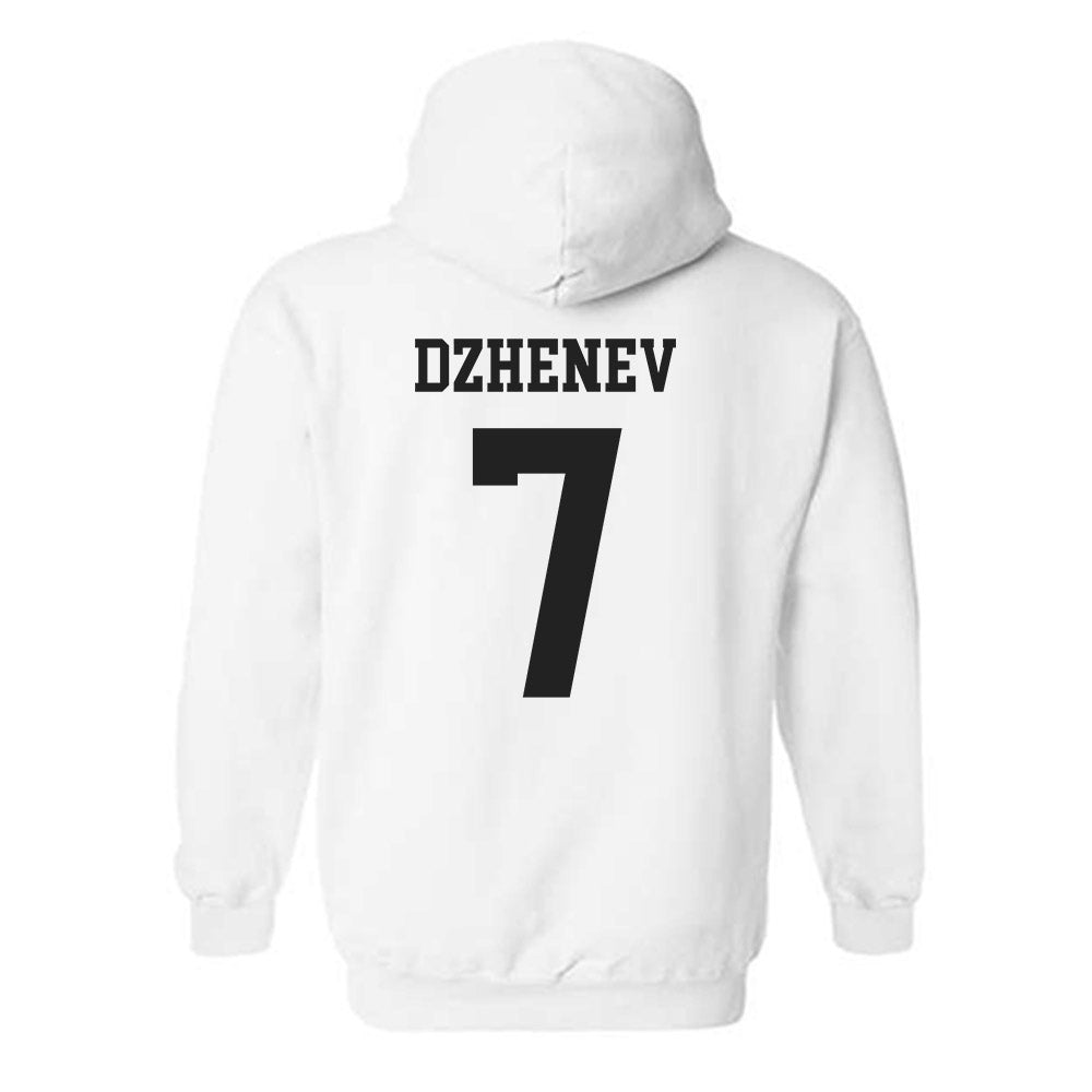 Central Florida - NCAA Men's Tennis : Adriano Dzhenev - Classic Shersey Hooded Sweatshirt-1