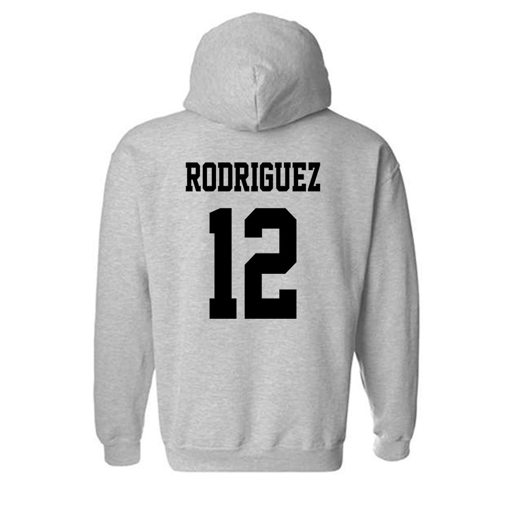 Central Florida - NCAA Women's Basketball : Emely Rodriguez - Classic Shersey Hooded Sweatshirt-1