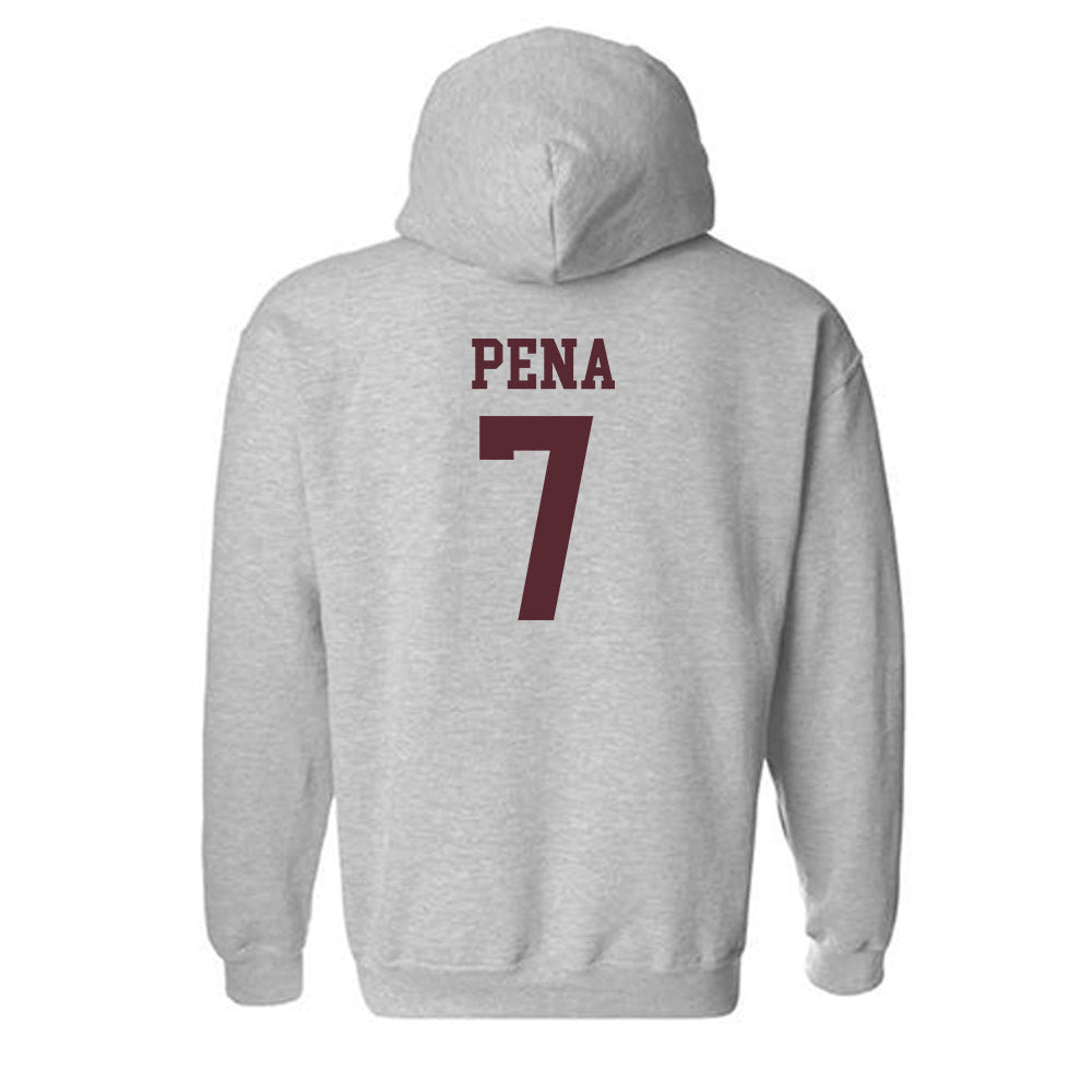 Texas State - NCAA Baseball : Daylan Pena - Hooded Sweatshirt-1