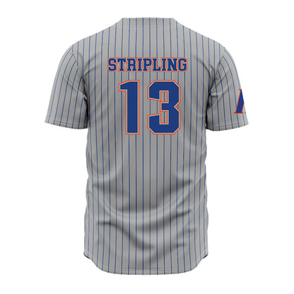 Florida - NCAA Baseball : Landon Stripling - Grey Jersey-1