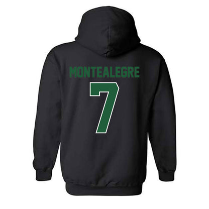 Utah Valley - NCAA Men's Soccer : Jose Luis Martin Montealegre - Classic Fashion Shersey Hooded Sweatshirt-1