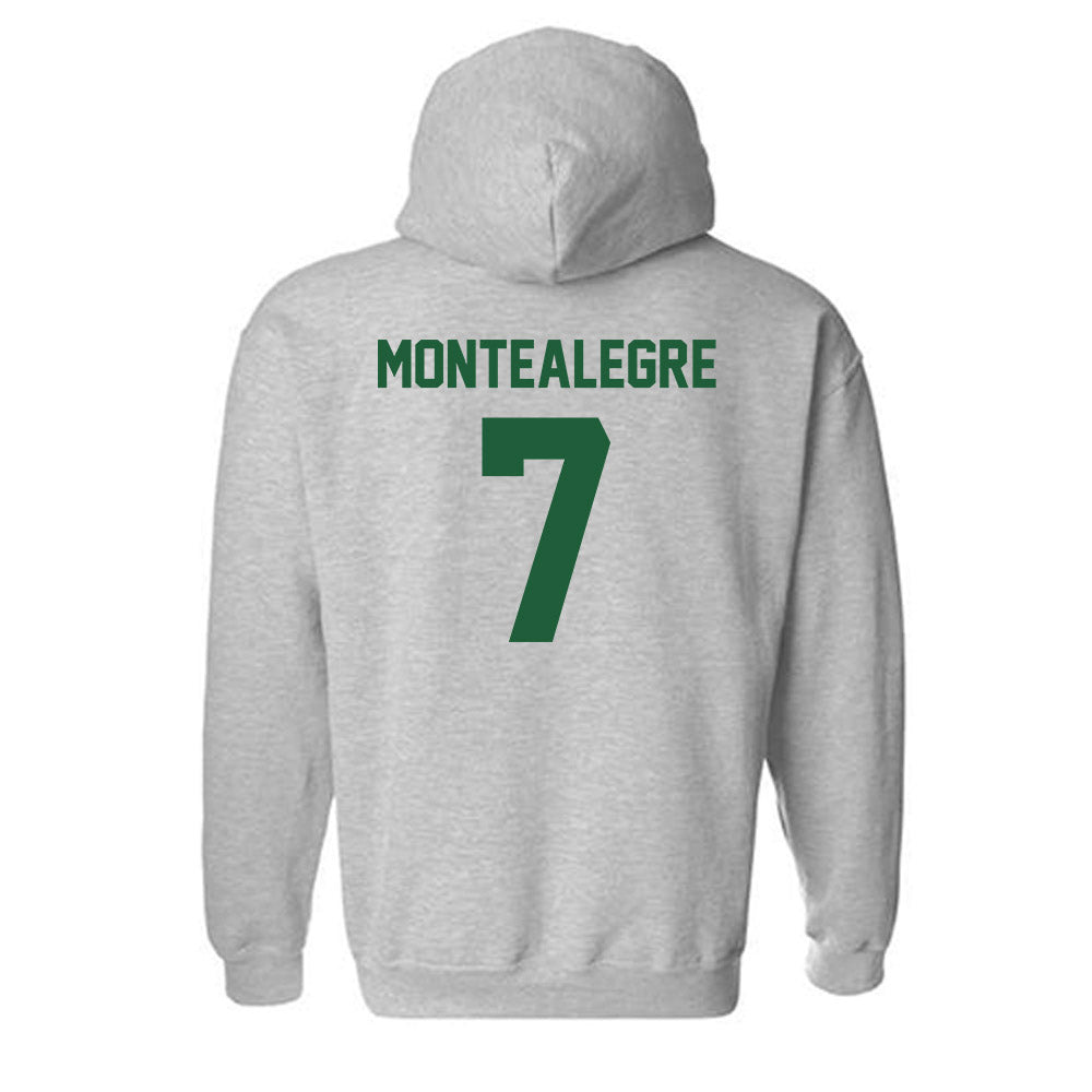 Utah Valley - NCAA Men's Soccer : Jose Luis Martin Montealegre - Classic Shersey Hooded Sweatshirt-1