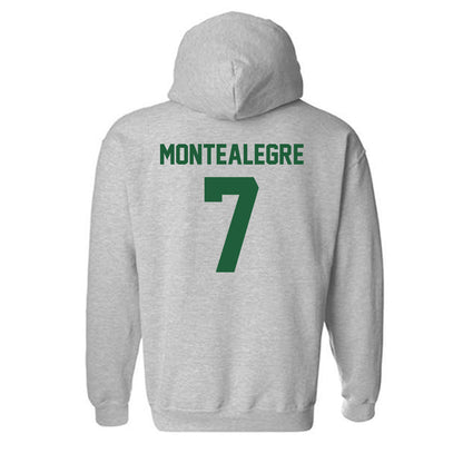 Utah Valley - NCAA Men's Soccer : Jose Luis Martin Montealegre - Classic Shersey Hooded Sweatshirt-1