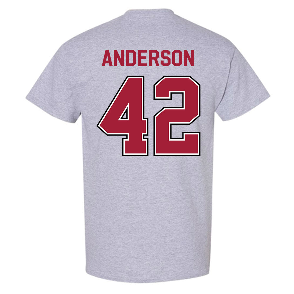 Arkansas - NCAA Baseball : Michael Anderson - Classic Fashion Shersey T-Shirt-1