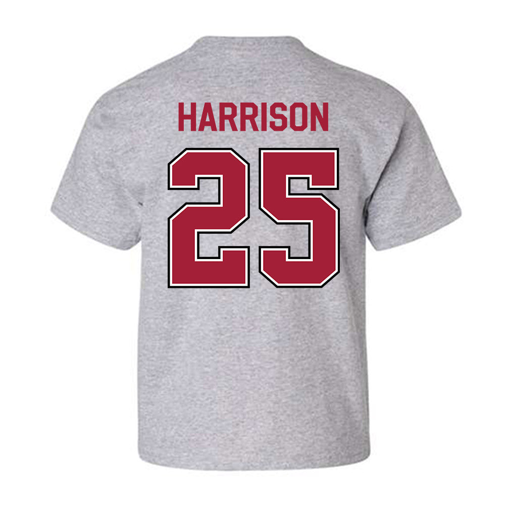 Arkansas - NCAA Softball : Cameryn Harrison - Classic Fashion Shersey Youth T-Shirt-1