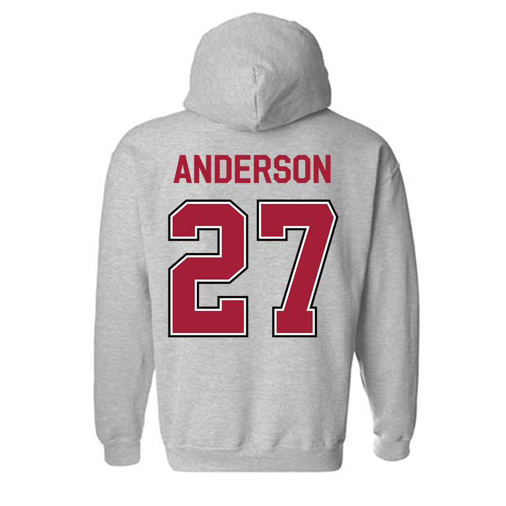 Arkansas - NCAA Women's Soccer : Dejionee Anderson - Classic Fashion Shersey Hooded Sweatshirt-1