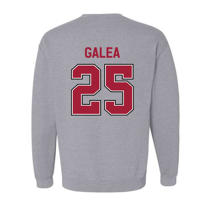 Arkansas - NCAA Women's Basketball : Danika Galea - Classic Fashion Shersey Crewneck Sweatshirt-1