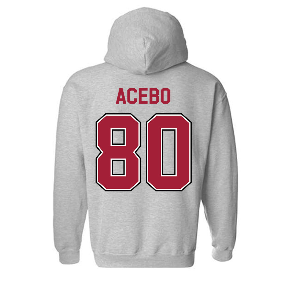 Arkansas - NCAA Football : Rykar Acebo - Classic Fashion Shersey Hooded Sweatshirt-1