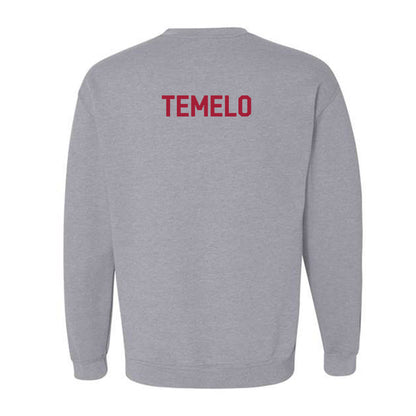 Arkansas - NCAA Women's Golf : Clarisa Temelo - Classic Fashion Shersey Crewneck Sweatshirt-1