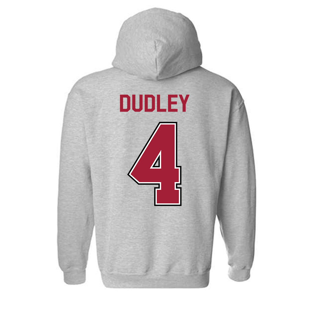 Arkansas - NCAA Women's Volleyball : Lily Dudley - Classic Fashion Shersey Hooded Sweatshirt-1