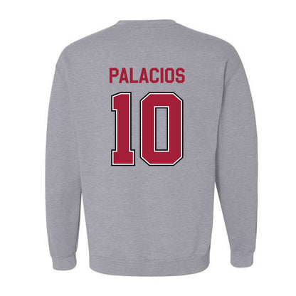 Arkansas - NCAA Women's Soccer : Camila Palacios - Classic Fashion Shersey Crewneck Sweatshirt-1