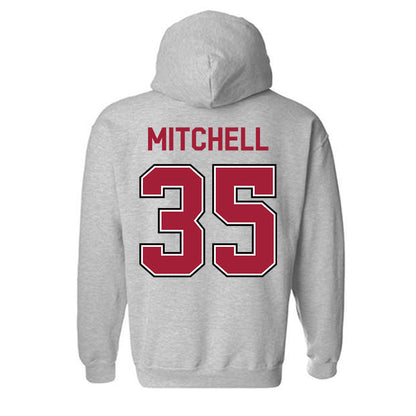 Arkansas - NCAA Baseball : Cayden Mitchell - Classic Fashion Shersey Hooded Sweatshirt-1