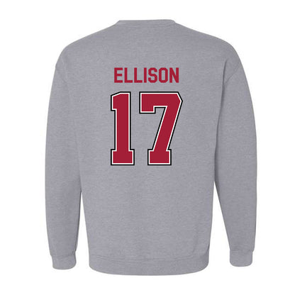 Arkansas - NCAA Women's Volleyball : Skylar Ellison - Classic Fashion Shersey Crewneck Sweatshirt-1