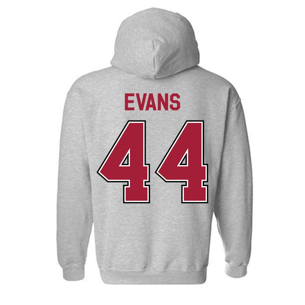 Arkansas - NCAA Women's Volleyball : Zoi Evans - Classic Fashion Shersey Hooded Sweatshirt-1