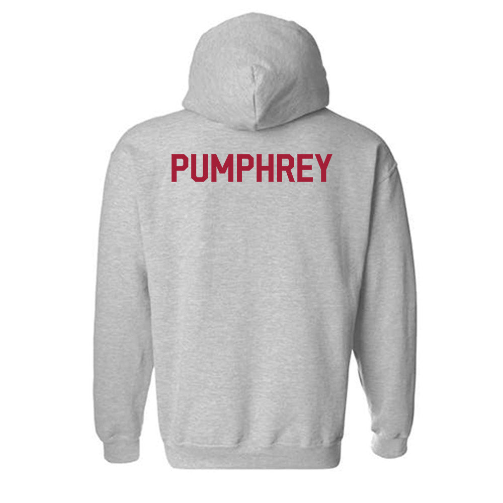 Arkansas - NCAA Women's Swimming & Diving : Kanah Pumphrey - Classic Fashion Shersey Hooded Sweatshirt-1