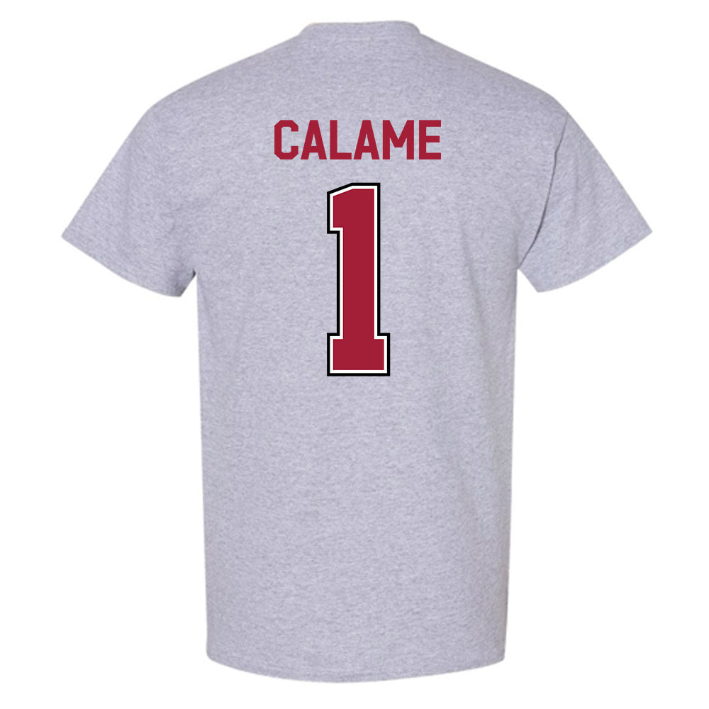 Arkansas - NCAA Women's Volleyball : Avery Calame - Classic Fashion Shersey T-Shirt-1