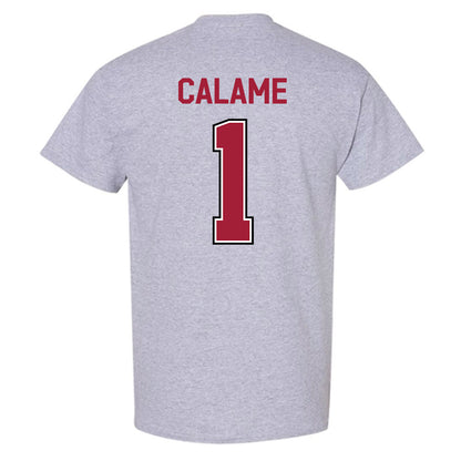Arkansas - NCAA Women's Volleyball : Avery Calame - Classic Fashion Shersey T-Shirt-1