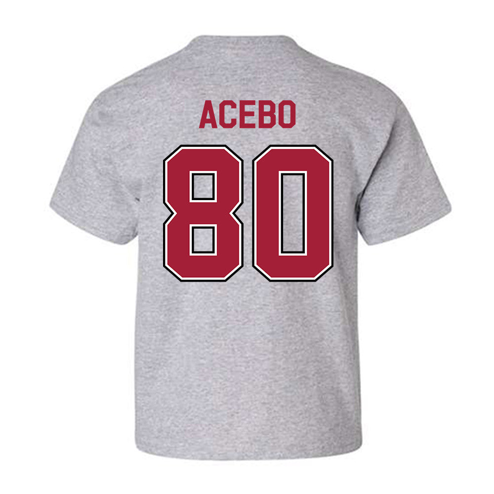 Arkansas - NCAA Football : Rykar Acebo - Classic Fashion Shersey Youth T-Shirt-1