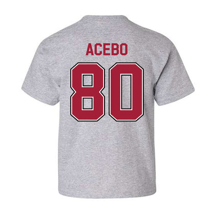 Arkansas - NCAA Football : Rykar Acebo - Classic Fashion Shersey Youth T-Shirt-1