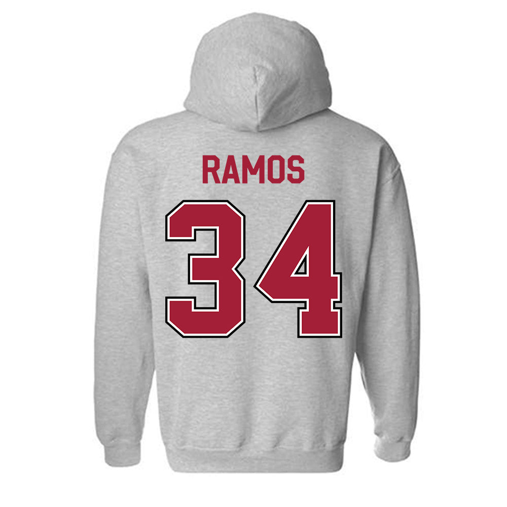 Arkansas - NCAA Softball : jayden ramos - Classic Fashion Shersey Hooded Sweatshirt-1