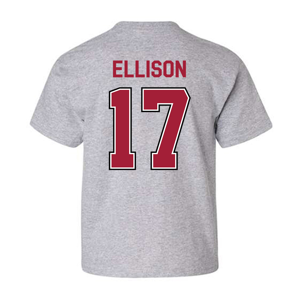 Arkansas - NCAA Women's Volleyball : Skylar Ellison - Classic Fashion Shersey Youth T-Shirt-1