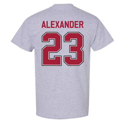 Arkansas - NCAA Women's Volleyball : Aleki Alexander - Classic Fashion Shersey T-Shirt-1