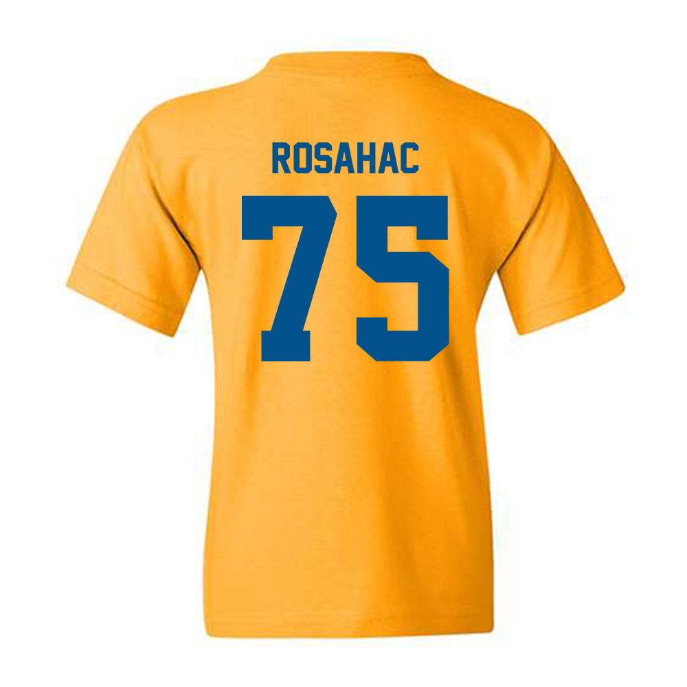 Delaware - NCAA Football : Noah Rosahac - Classic Fashion Shersey Youth T-Shirt-1