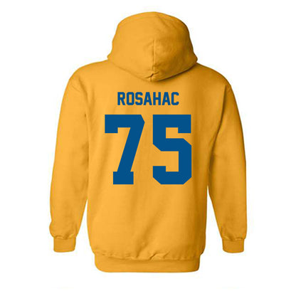 Delaware - NCAA Football : Noah Rosahac - Classic Fashion Shersey Hooded Sweatshirt-1