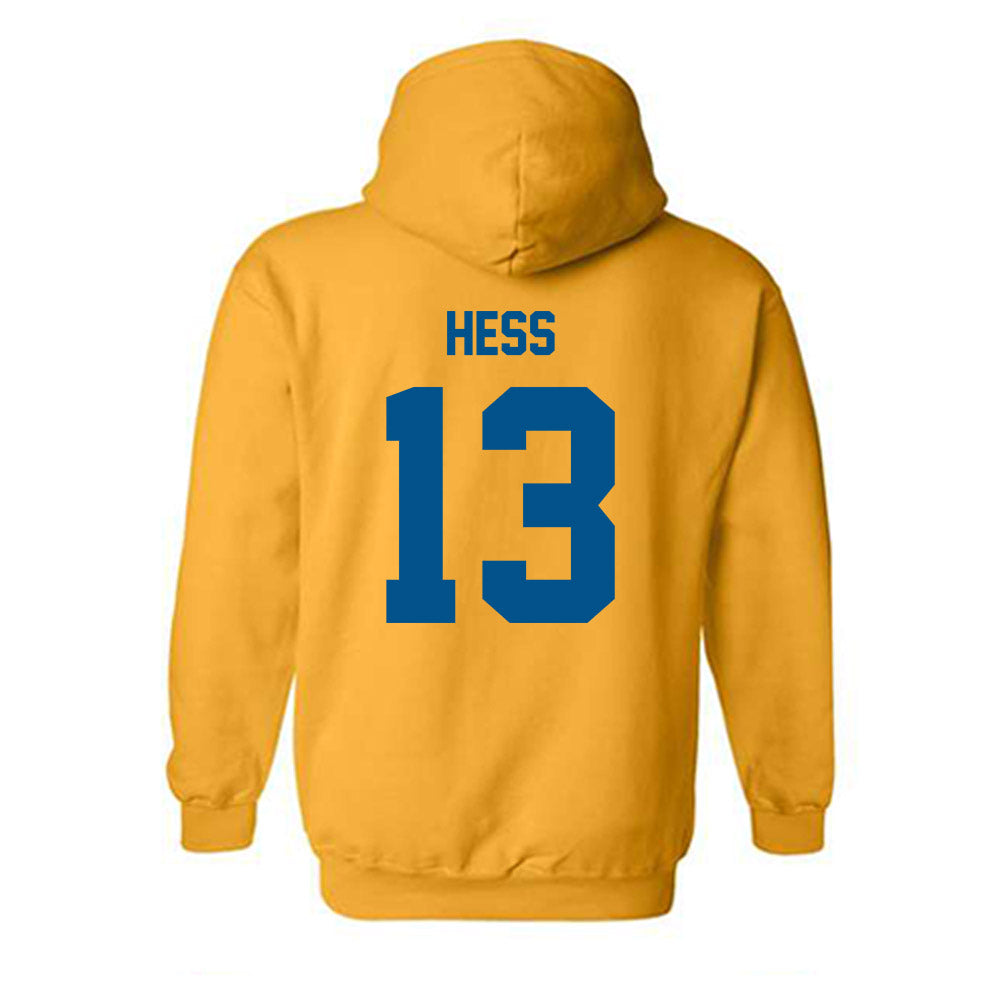 Delaware - NCAA Softball : Morgan Hess - Hooded Sweatshirt