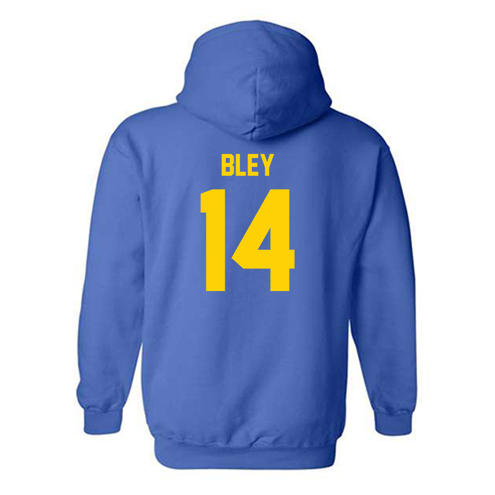 Delaware - NCAA Women's Soccer : Olivia Bley - Classic Shersey Hooded Sweatshirt-1