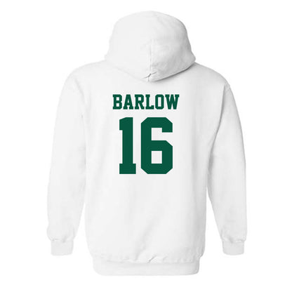 UNC Charlotte - NCAA Softball : taylor barlow - Hooded Sweatshirt Classic Shersey