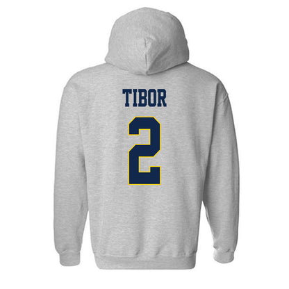 UCSD - NCAA Women's Soccer : Ava Tibor - Hooded Sweatshirt