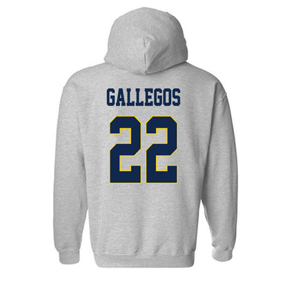 UCSD - NCAA Women's Basketball : Gracie Gallegos - Classic Fashion Shersey Hooded Sweatshirt-1