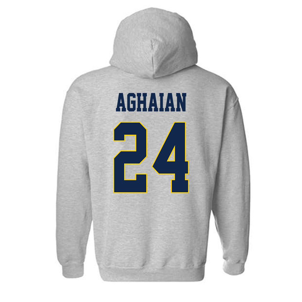 UCSD - NCAA Men's Soccer : Nick Aghaian - Classic Fashion Shersey Hooded Sweatshirt