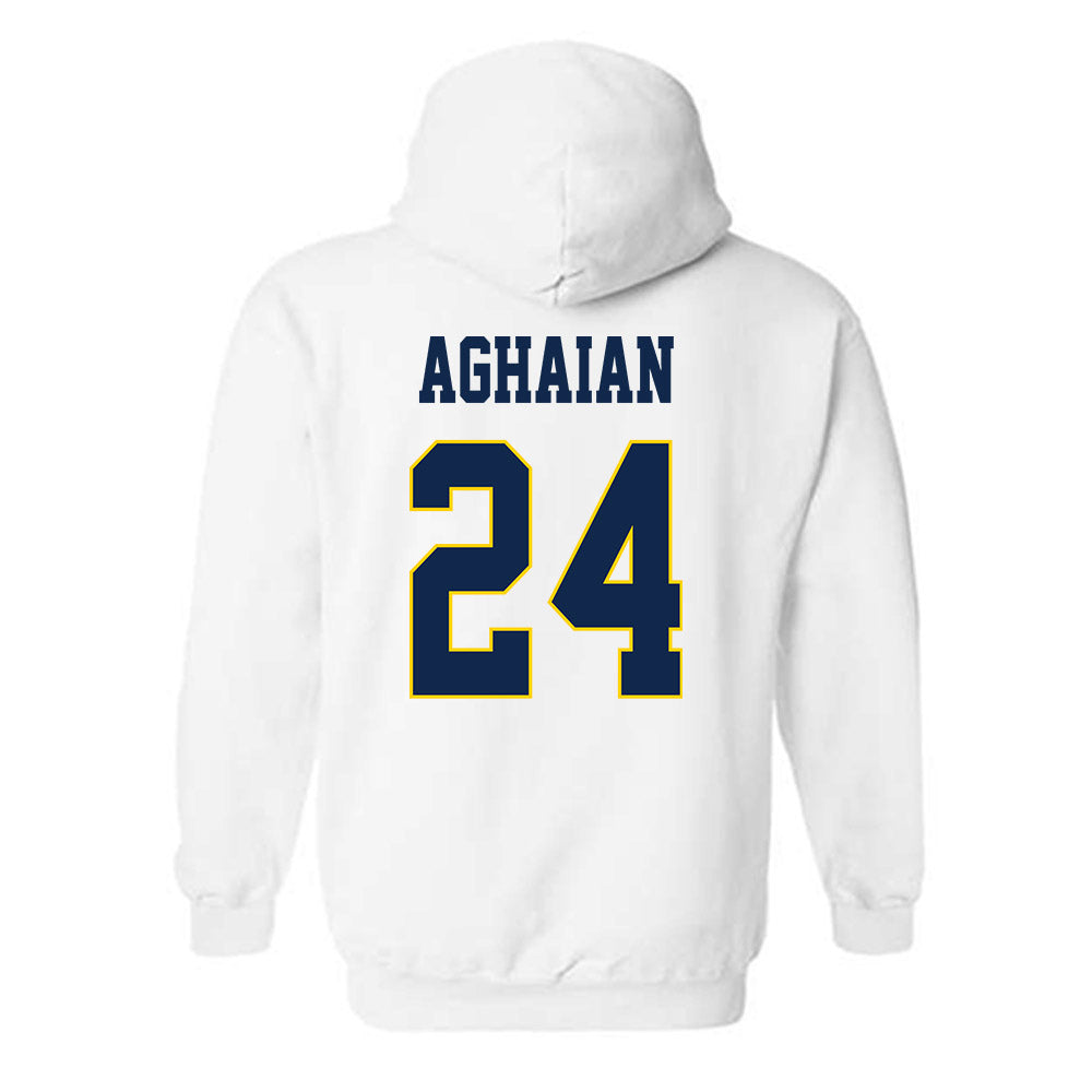 UCSD - NCAA Men's Soccer : Nick Aghaian - Classic Fashion Shersey Hooded Sweatshirt