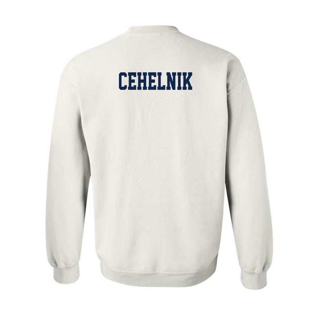 UCSD - NCAA Men's Swimming & Diving : Hunter Cehelnik - Classic Fashion Shersey Crewneck Sweatshirt